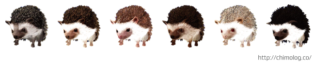 mouse