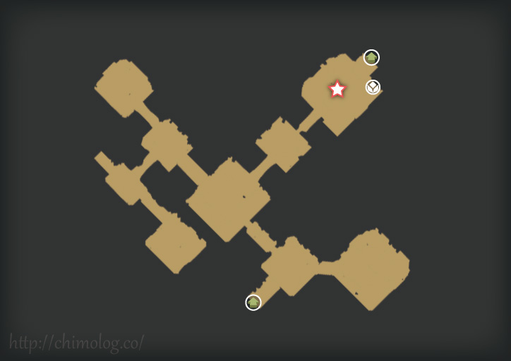 map29