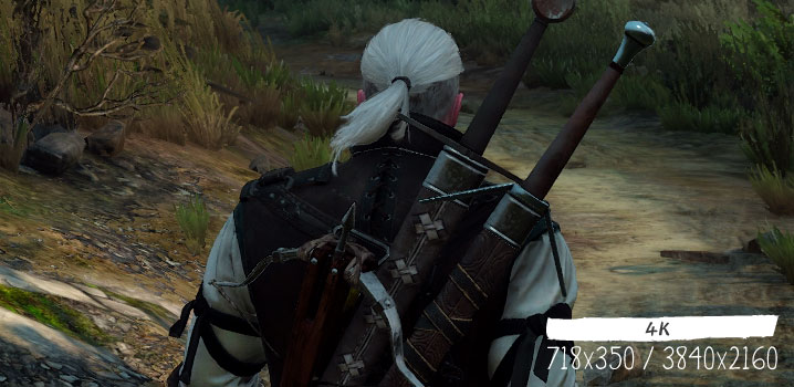Witcher 3 4K(3840x2160)グラボ別fps