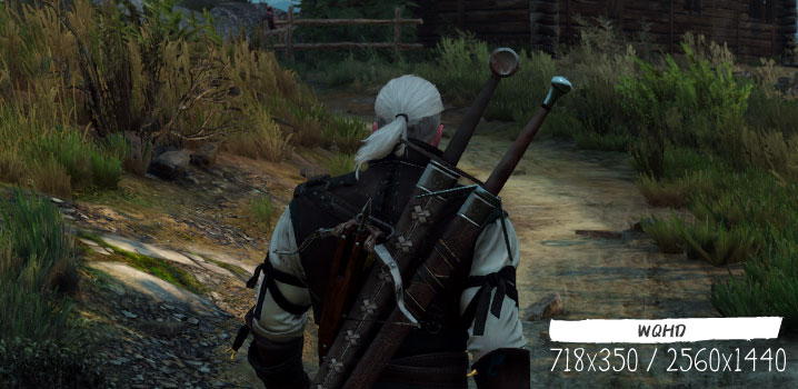 Witcher 3 WQHD(2560x1440)グラボ別fps