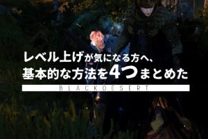 大量に粗石 鉱石が採集できるオススメの場所 黒い砂漠 ちもろぐ