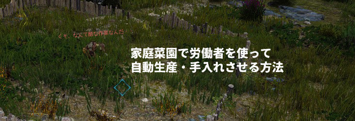 家庭菜園で労働者を使って自動生産 手入れさせる方法 黒い砂漠 ちもろぐ
