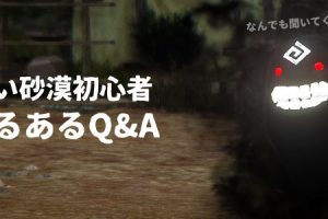 粗石がとにかく大量に欲しい人に おすすめな粗石の密集場所 黒い砂漠 ちもろぐ