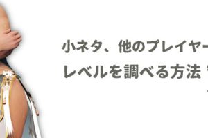 黒い砂漠 取引所での当選確率が10 上がる 巨商のリング というアクセ ちもろぐ