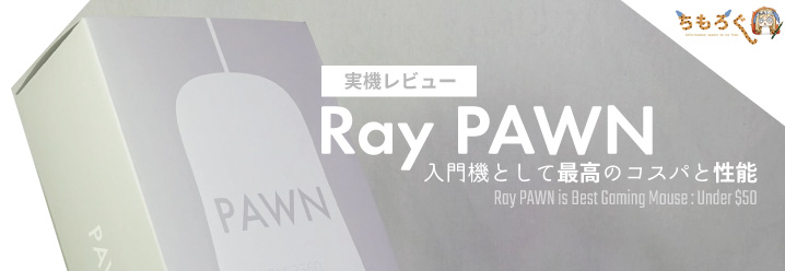 Ray Pawn を実機レビュー 入門機として最高のコスパと性能 ちもろぐ