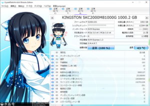 Kingston KC2000をレビュー（Crystal Disk Info）