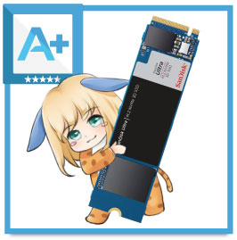 SanDisk Ultra M.2 NVMe 3D SSDの評価まとめ