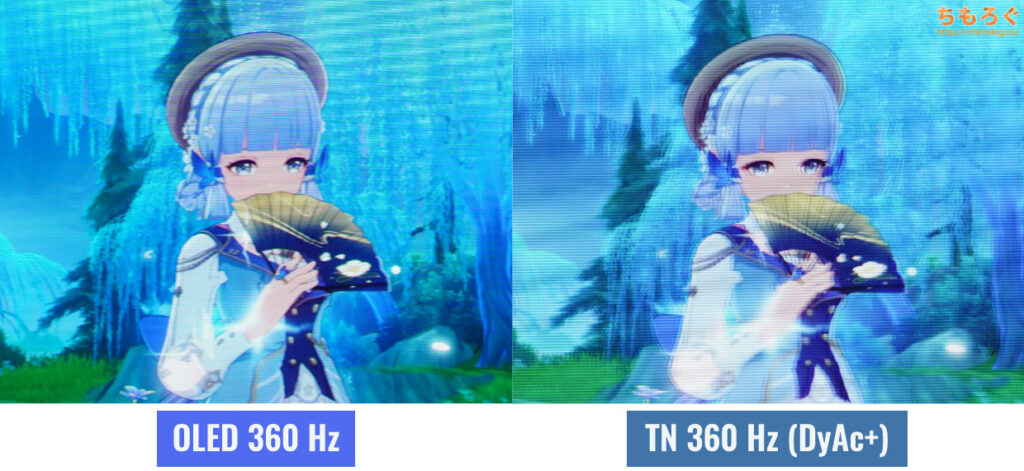OLED 360 Hz vs TN 360 Hz