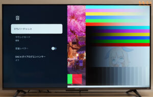 Xiaomi TV A Pro 43 2025 レビュー（OSD設定画面）